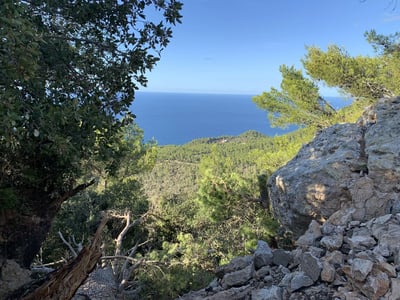 Mallorca finca destroyed by Christian Völkers - problems with reconstruction